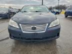 Lot #3296260443 2008 LEXUS ES 350
