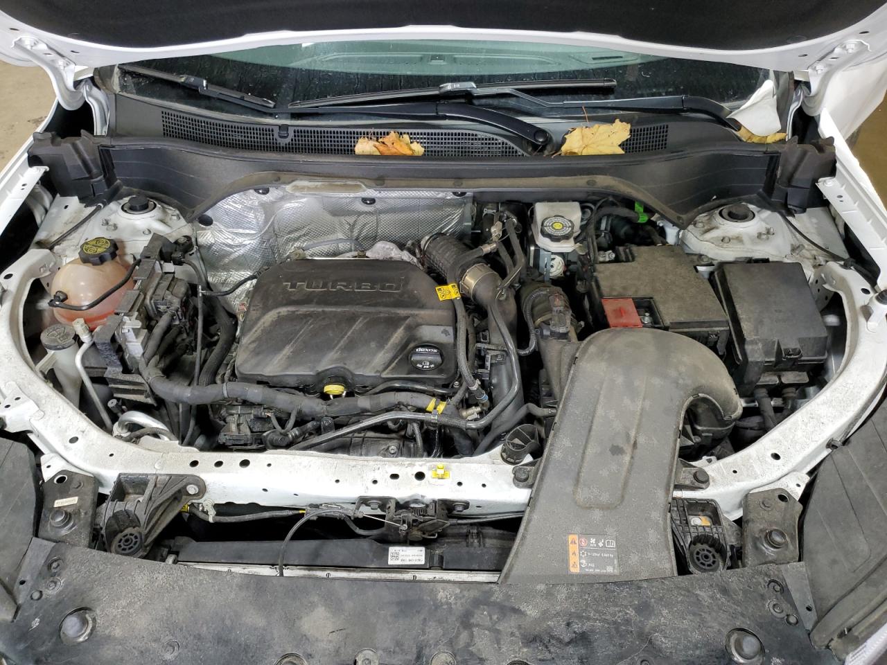 Lot #3302759396 2024 CHEVROLET TRAX ACTIV