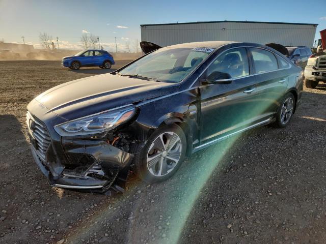 Global Auto Auctions: 2019 HYUNDAI SONATA PLU