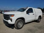 Lot #3305557087 2023 CHEVROLET SILVERADO