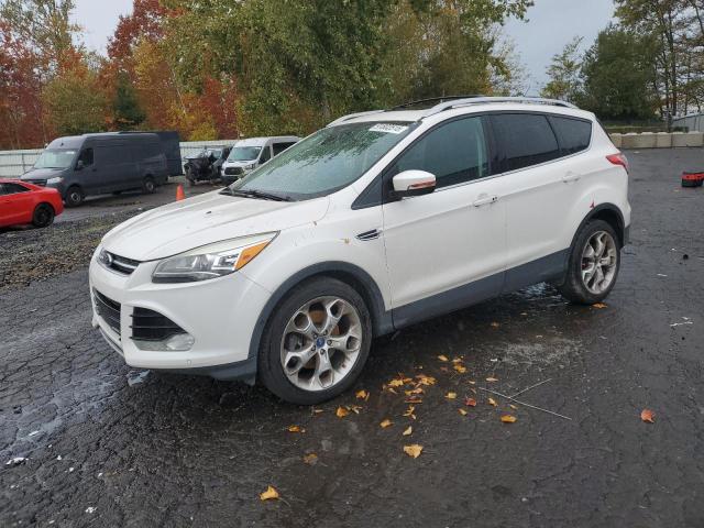 Global Auto Auctions: 2013 FORD ESCAPE TIT