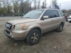 Lot #3296351163 2007 HONDA PILOT EX