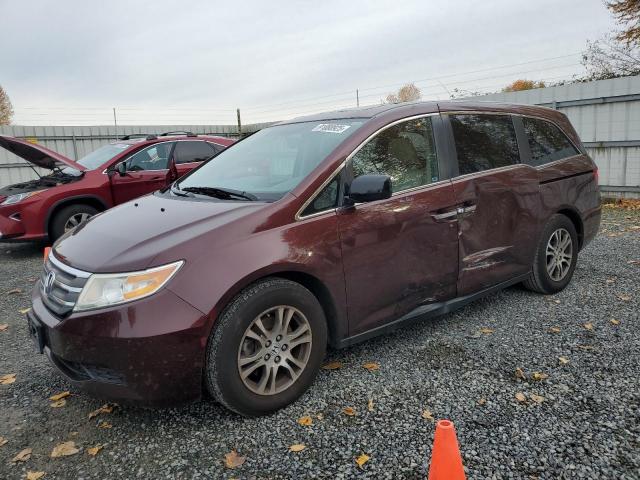 Global Auto Auctions: 2013 HONDA ODYSSEY EX