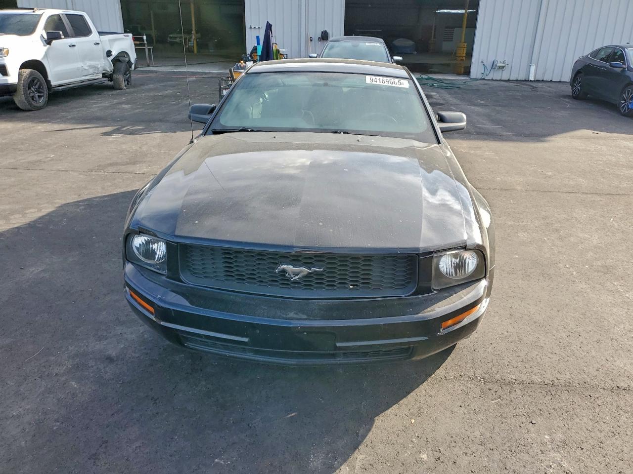 Lot #3301835371 2009 FORD MUSTANG
