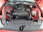 Lot #3310324972 2024 FORD MUSTANG