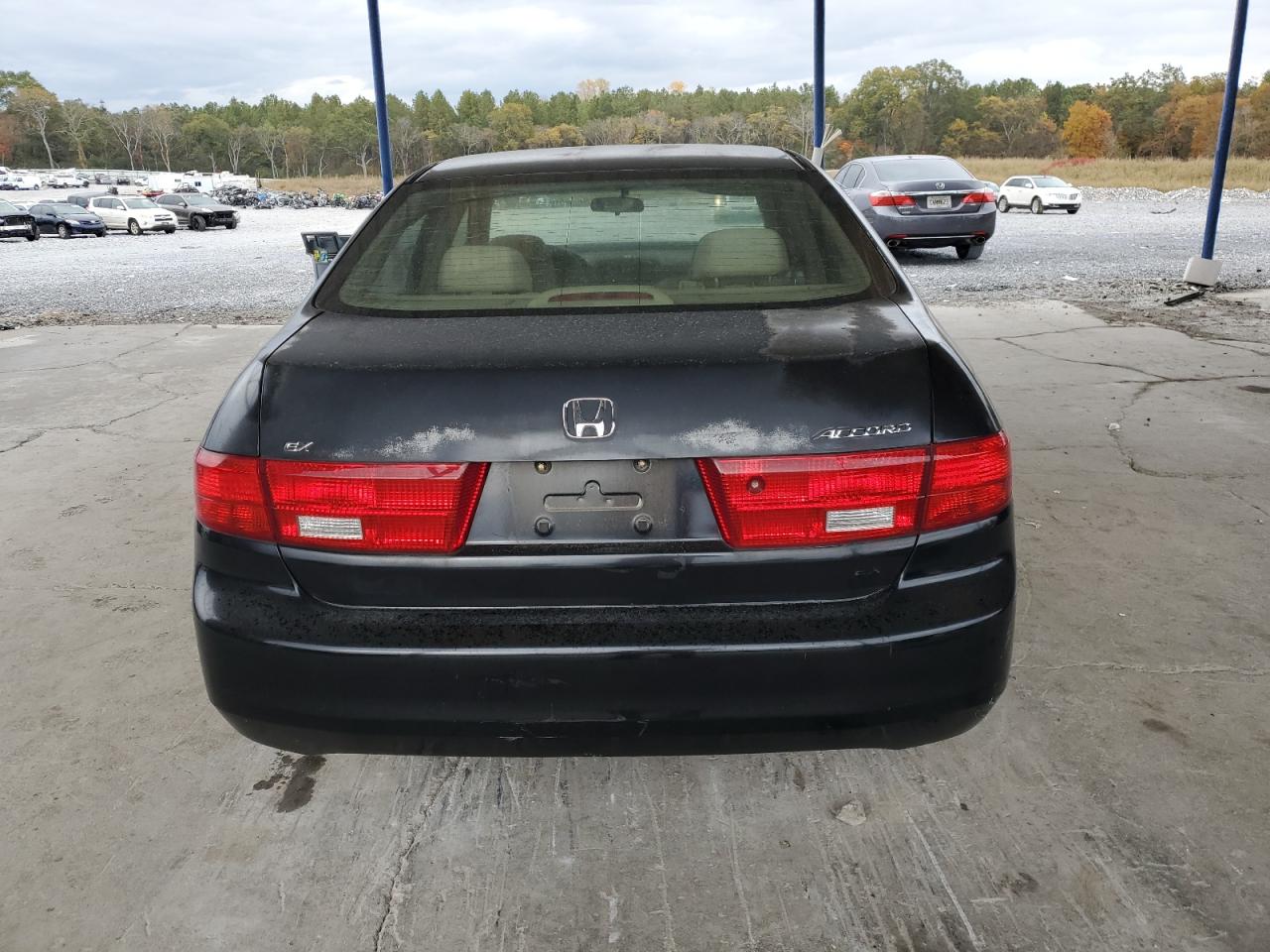 Lot #3304612463 2005 HONDA ACCORD EX