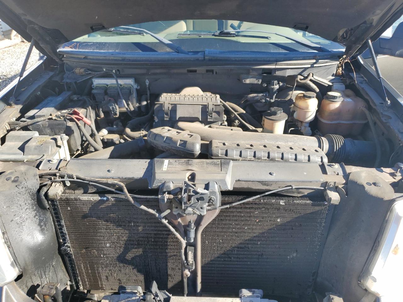 Lot #3279735935 2008 FORD F150