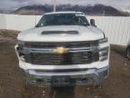 Lot #3292564690 2024 CHEVROLET SILVERADO K2500 HEAVY DUTY LT