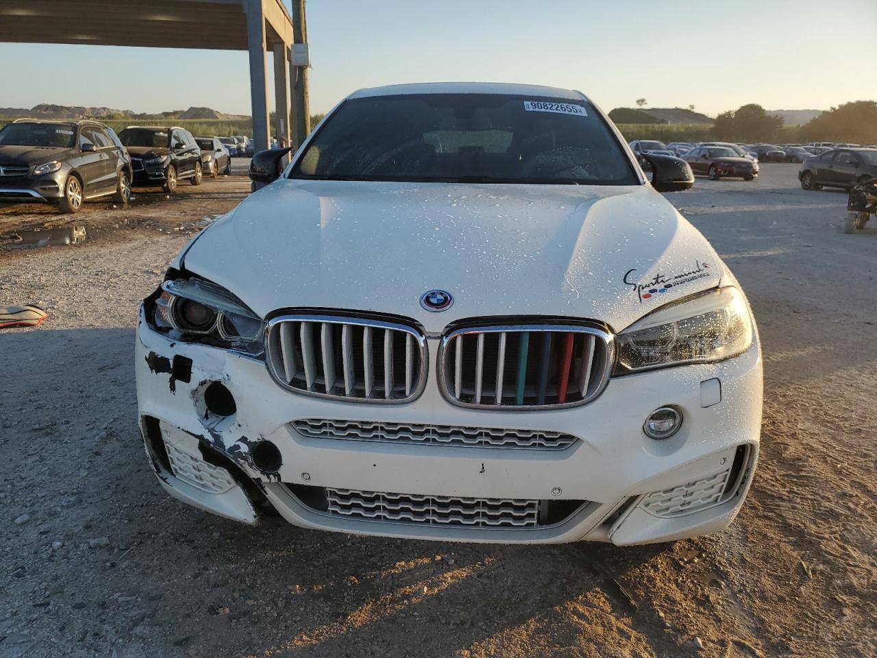 BMW X6 XDRIVE35I