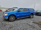 Lot #3309365963 2014 FORD F150 SUPER