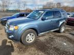 Lot #3304515501 2012 FORD ESCAPE LIM
