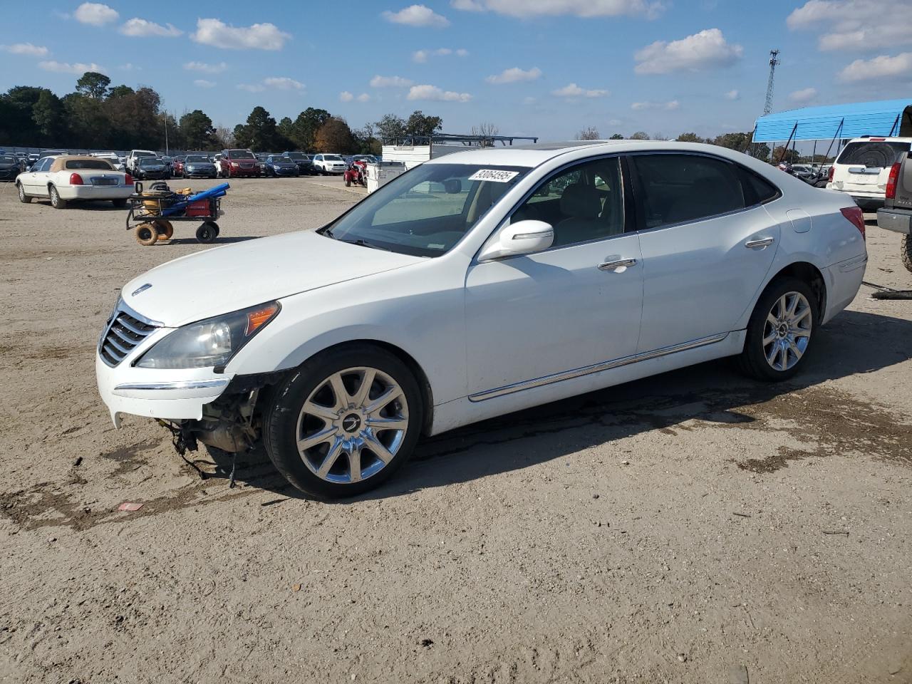 HYUNDAI EQUUS SIGNATURE