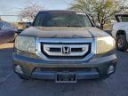 Lot #3304590440 2009 HONDA PILOT EXL