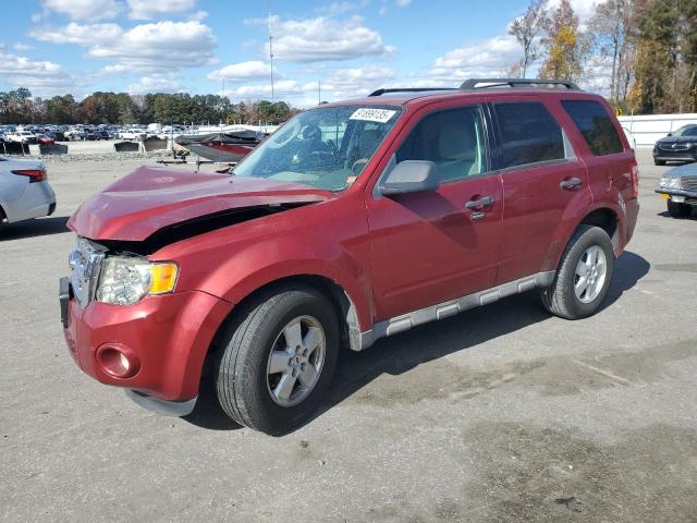 Global Auto Auctions: 2009 FORD ESCAPE XLT