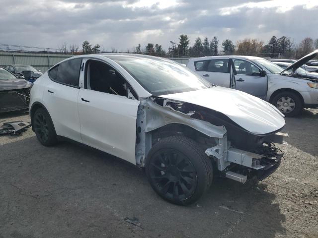 2021 TESLA MODEL Y #3305460089
