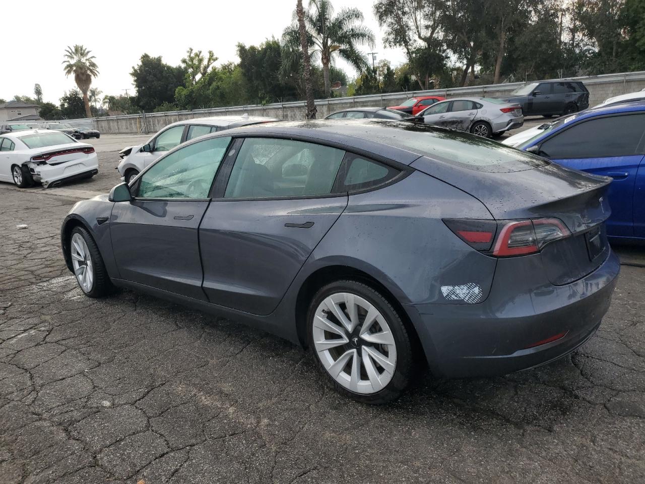 Lot #3308554534 2023 TESLA MODEL 3