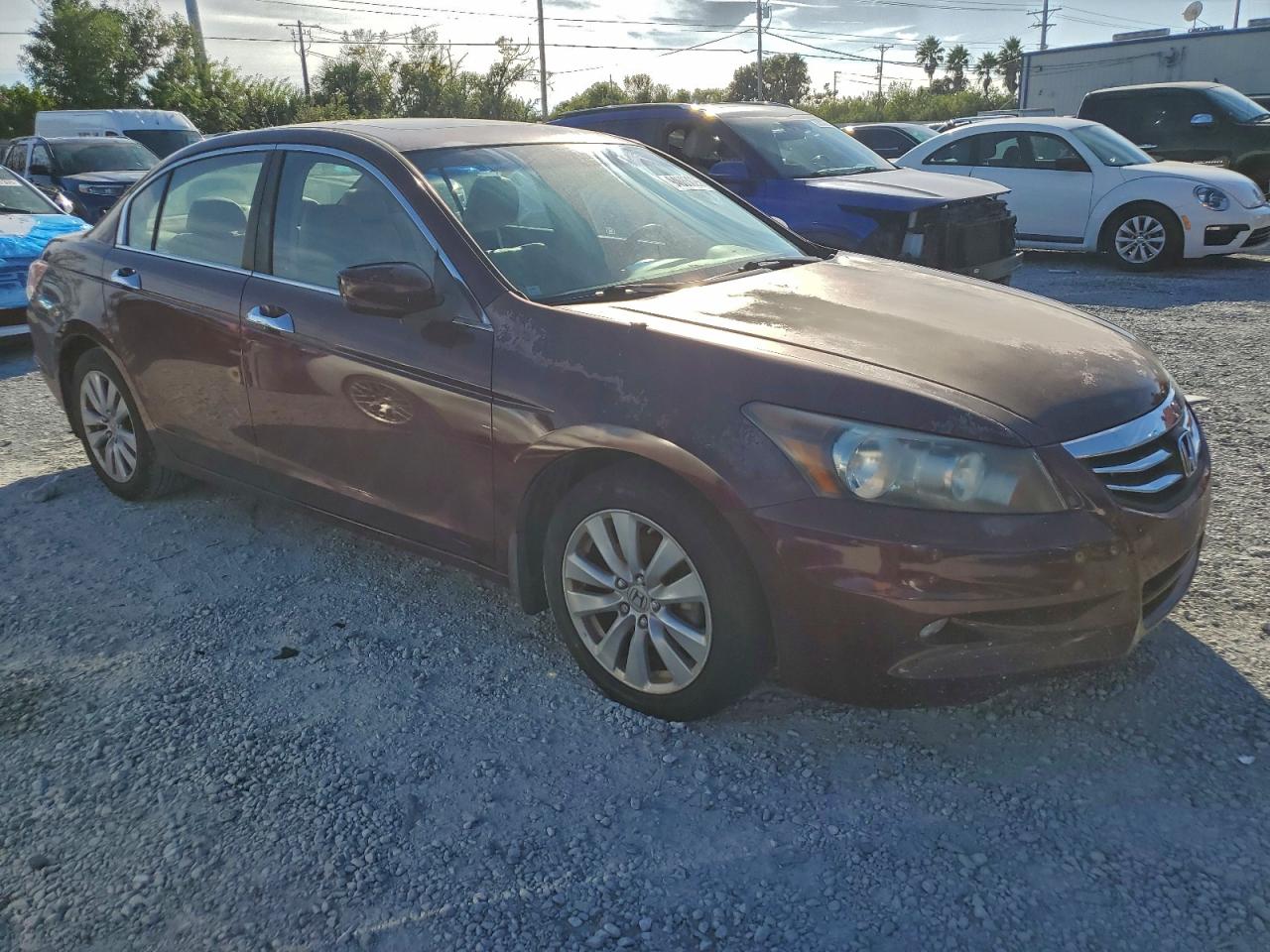 Lot #3317710086 2011 HONDA ACCORD EXL