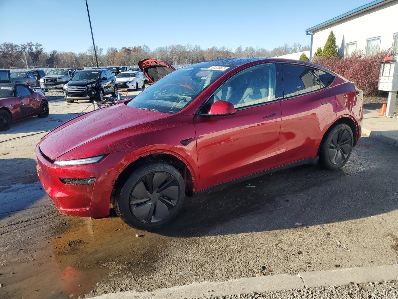 TESLA MODEL Y