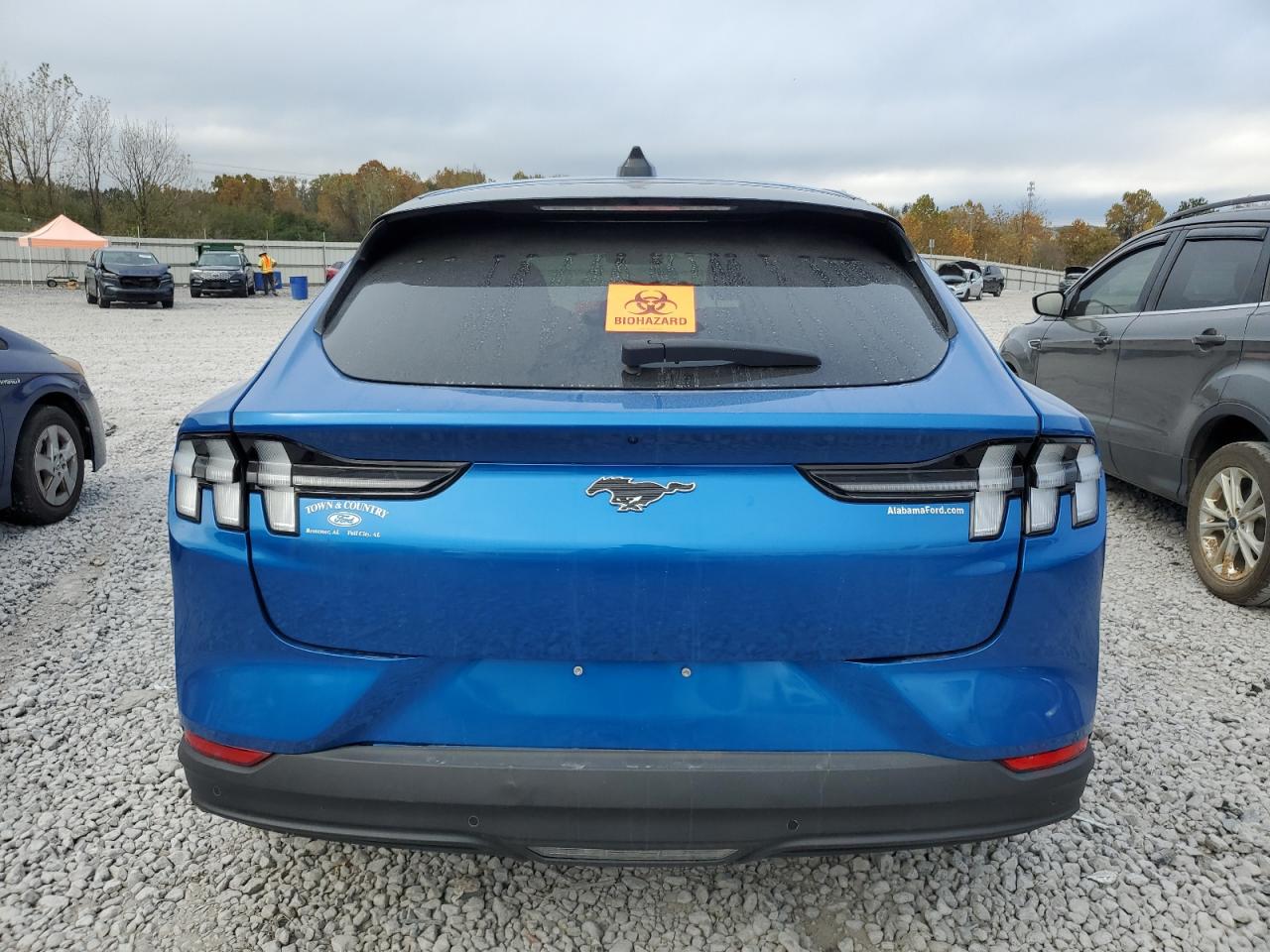 Lot #3301819369 2025 FORD MUSTANG MA