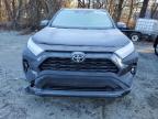 Lot #3294114956 2025 TOYOTA RAV4 XLE P