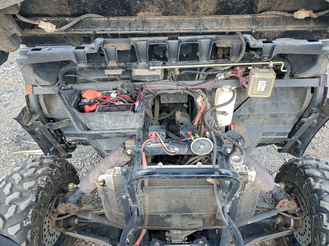 Lot #3301783338 2015 ODES DOMINATOR 800