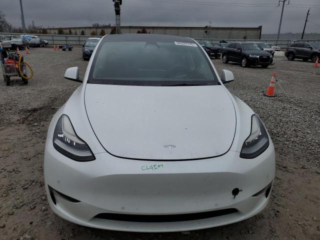 2021 TESLA MODEL Y #3296892861