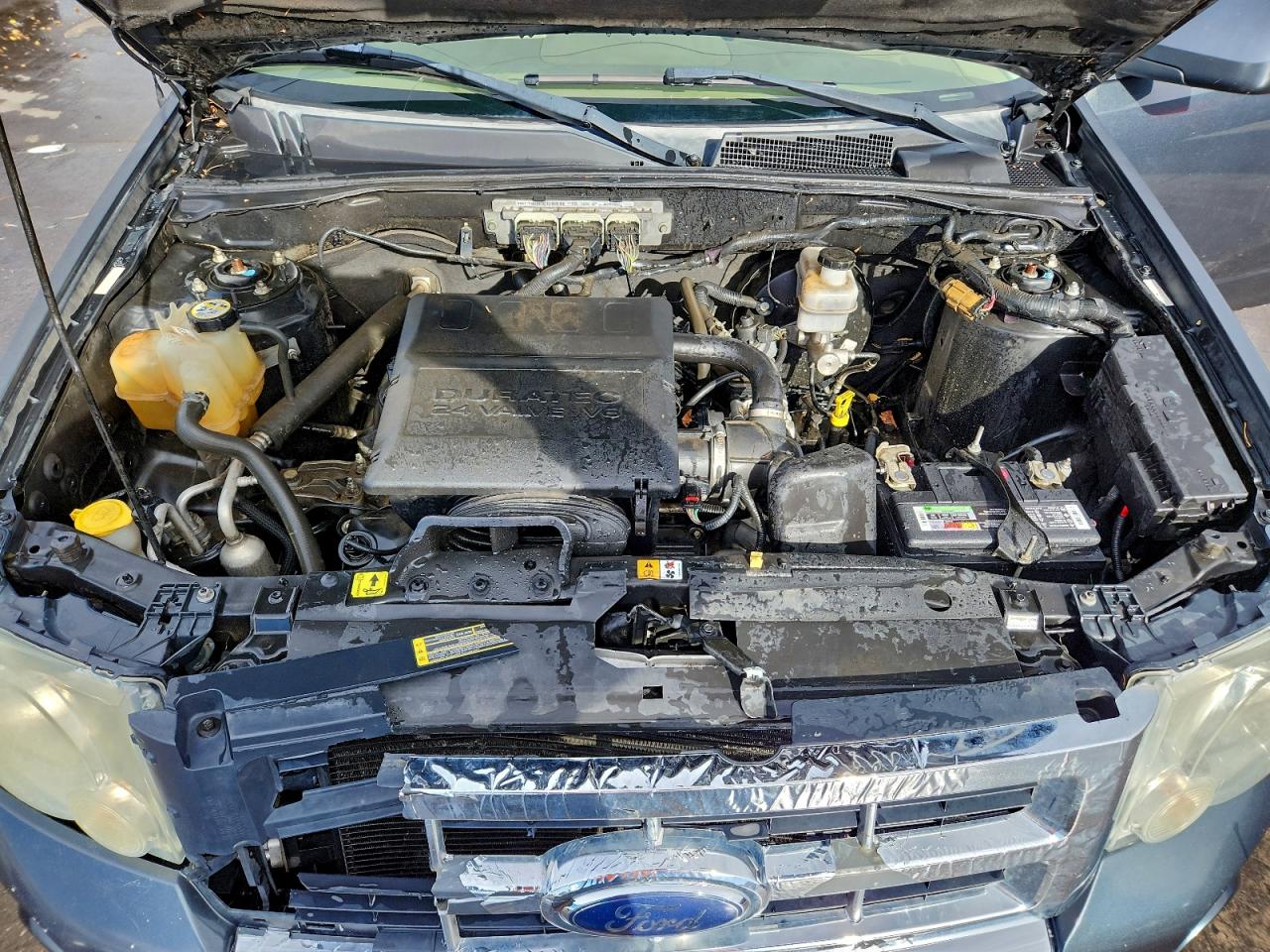 Lot #3302152178 2009 FORD ESCAPE LIM