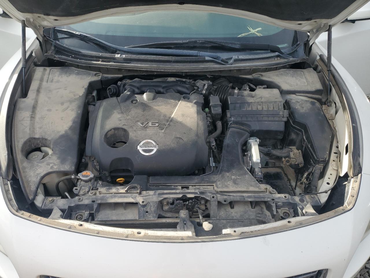 Lot #3284965960 2009 NISSAN MAXIMA S