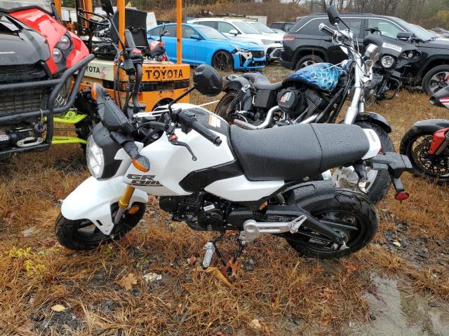 2026 HONDA GROM 125 #3304538454