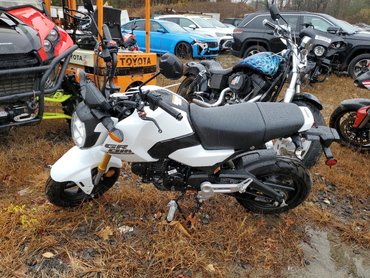 Lot #3304538454 2026 HONDA GROM 125