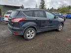 Lot #3305334325 2013 FORD ESCAPE SE