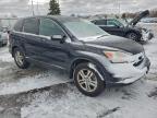Lot #3304563456 2011 HONDA CR-V EXL