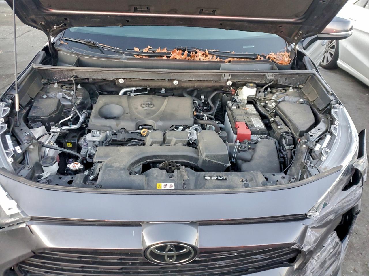 Lot #3318985917 2024 TOYOTA RAV4 XLE P