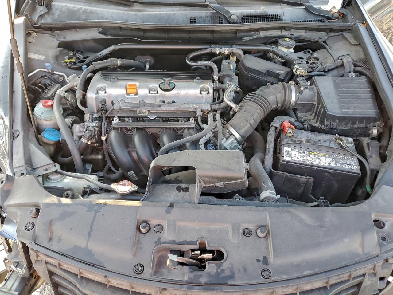 Lot #3301827371 2010 HONDA ACCORD EXL