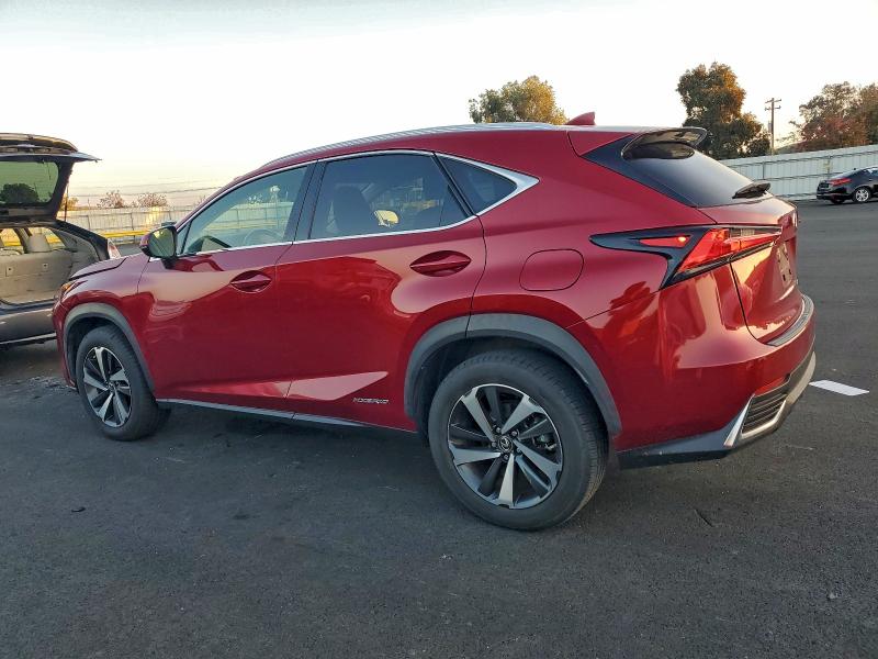 2020 LEXUS NX 300H #3301933515