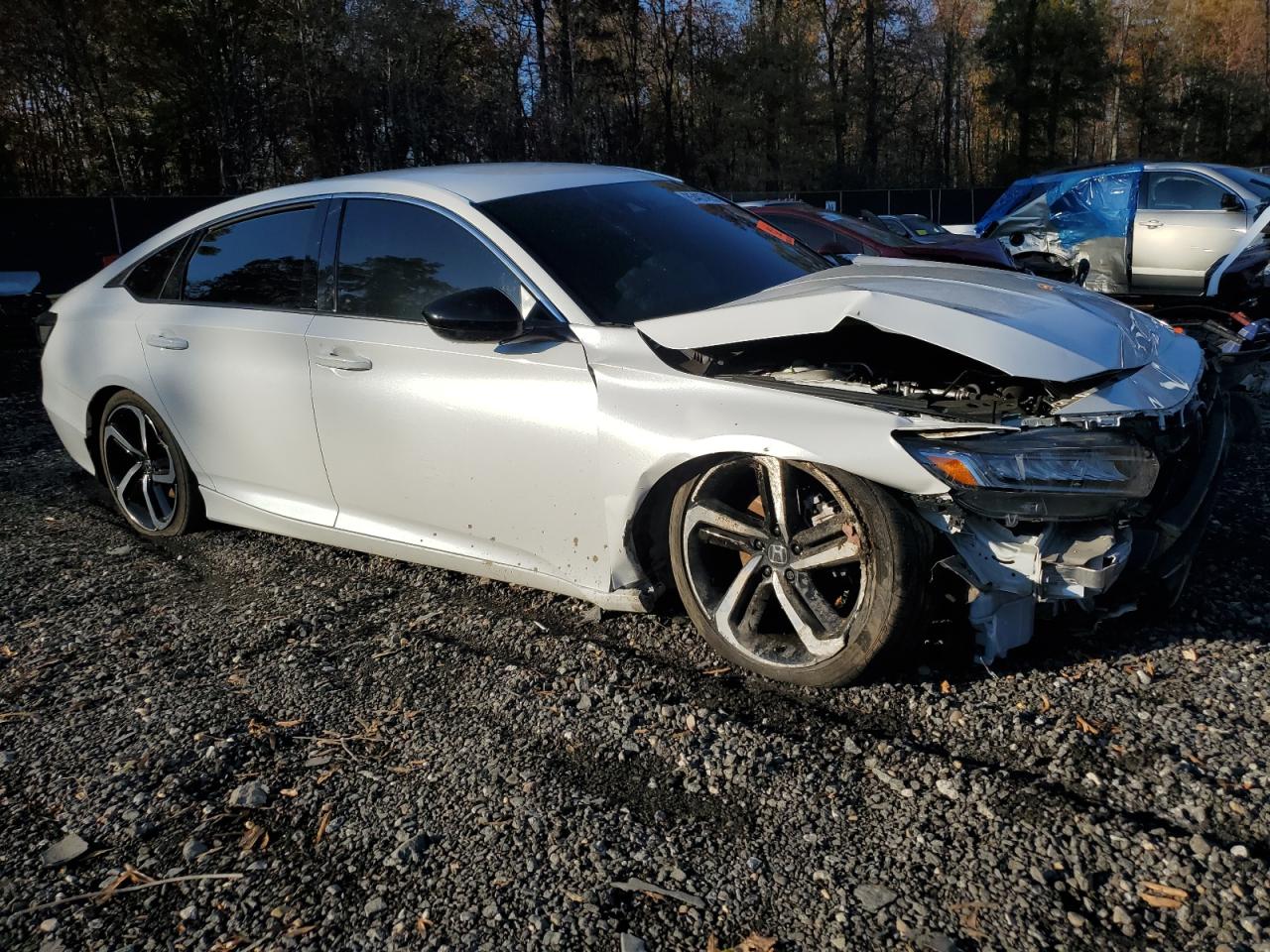 HONDA ACCORD SPORT SE