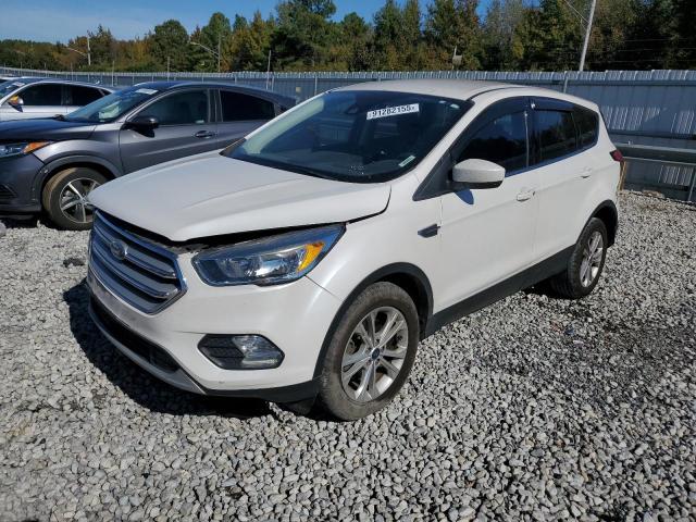Global Auto Auctions: 2019 FORD ESCAPE SE