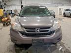 Lot #3303856517 2010 HONDA CR-V