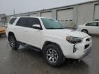 Lot #3294500514 2019 TOYOTA 4RUNNER SR