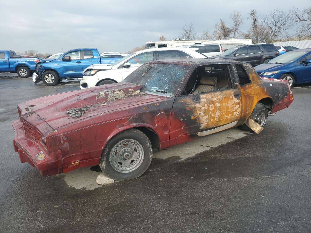 Lot #3302788945 1984 CHEVROLET MONTE CARL