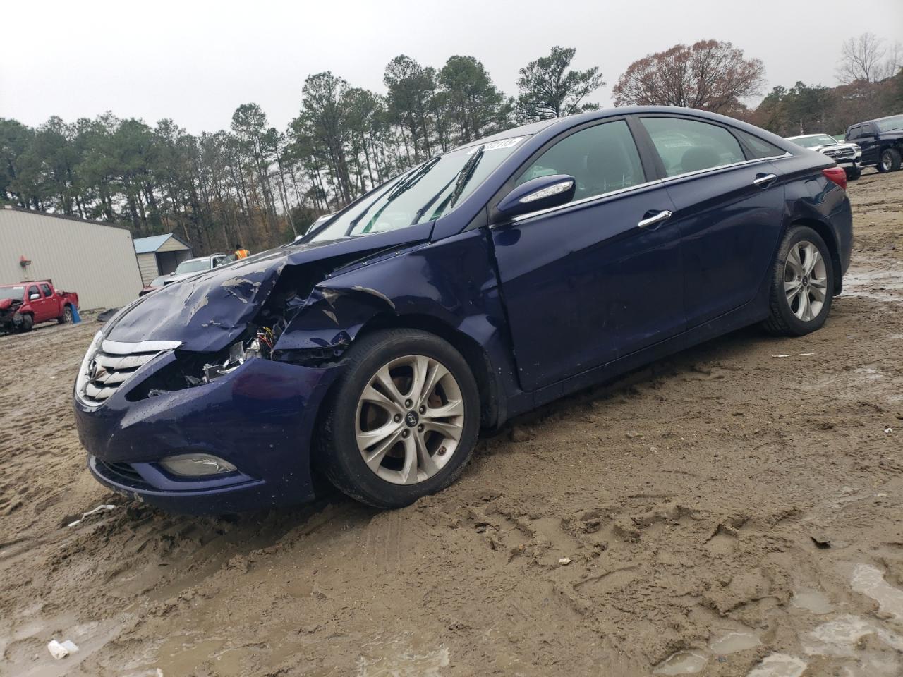 Lot #3316789406 2013 HYUNDAI SONATA SE