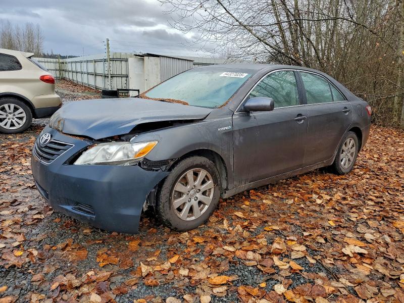 Global Auto Auctions: 2008 TOYOTA CAMRY HYBR