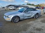 Lot #3303707538 2005 FORD MUSTANG