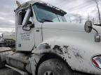 Lot #3297872797 2013 FREIGHTLINER COLUMBIA