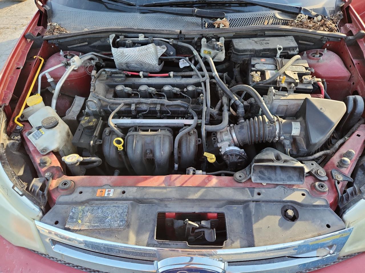 Lot #3308407315 2010 FORD FOCUS SE