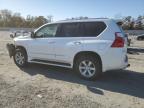 Lot #3296316421 2012 LEXUS GX 460