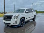 Lot #3294403501 2016 CADILLAC ESCALADE E