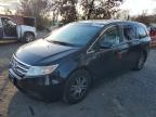 Lot #3317823199 2011 HONDA ODYSSEY