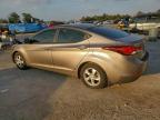 Lot #3308399287 2014 HYUNDAI ELANTRA SE