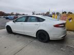 Lot #3292533691 2016 FORD FUSION SE